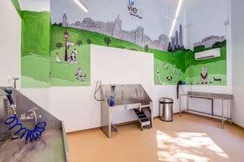 Pet spa